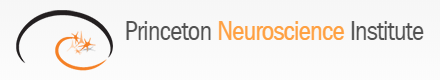 PNI logo